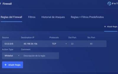 Presentamos el Panel Anti DDoS de Hostealo – Seguridad avanzada para tu VPS